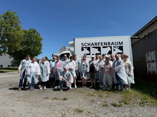 IMG 4982